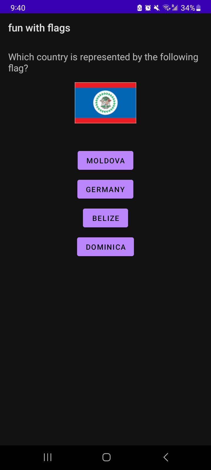fun-with-flags app picture 1