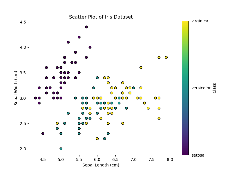 scatter plot load_iris